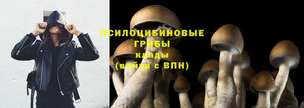 крисы Дмитриев