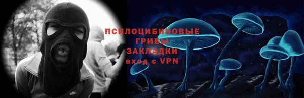 крисы Дмитриев