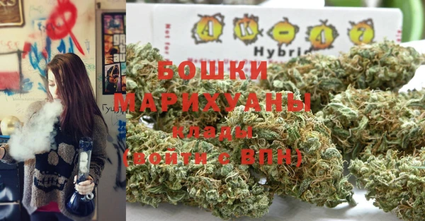 крисы Дмитриев