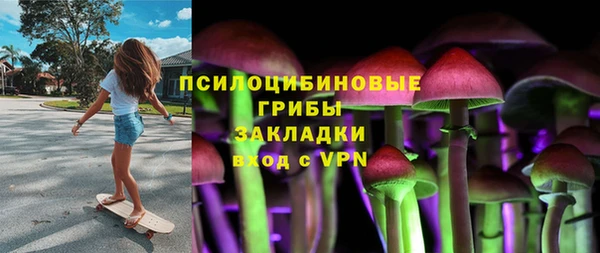прущая мука Дмитровск