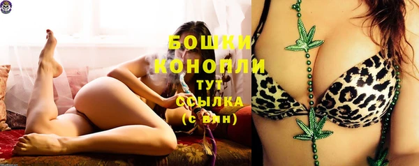крисы Дмитриев
