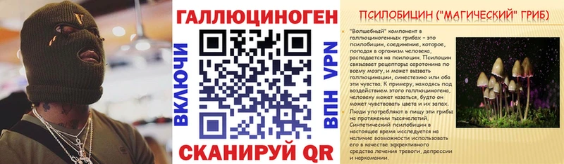 Галлюциногенные грибы GOLDEN TEACHER  купить наркотик  Ессентукская 